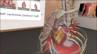 3D Organon VR Anatomy